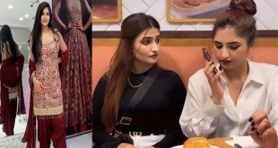 Rachel Sharma Sister Of Sassy Poonam Hot Big Boobs Full Nude Show