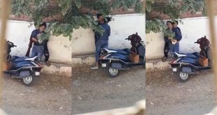 Indian Biker Girl Public Love Porn Free