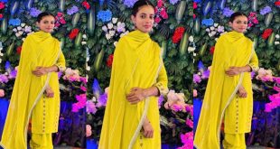 Sexy Punjabi Wife Showing