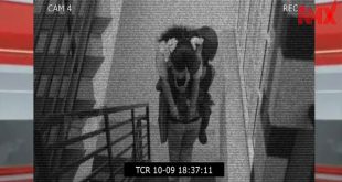 Bad Chemist Roy Ep 1 – 2025 Malayalam Web – Nmxseries Nila