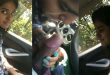 Tamil Dusky Babe Giving Blowjob – Fucked by Boyfriend In Car